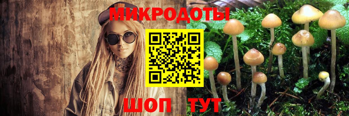 Каменск-Уральский  Галлюциногенные грибы Psilocybe  Вход с VPN 