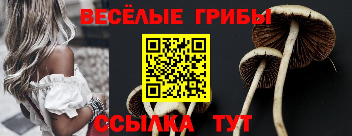 Псилоцибиновые грибы мицелий Каменск-Уральский